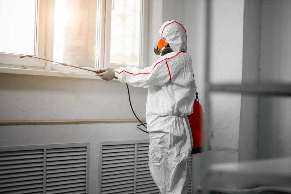 Professional mold remediation services in Wills Point, TX